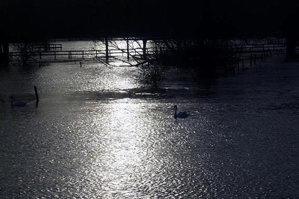 6. Flood.jpg